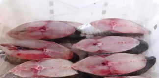 5 loại cá béo có hàm lượng Omega-3 cao nhất, nên ăn thường xuyên