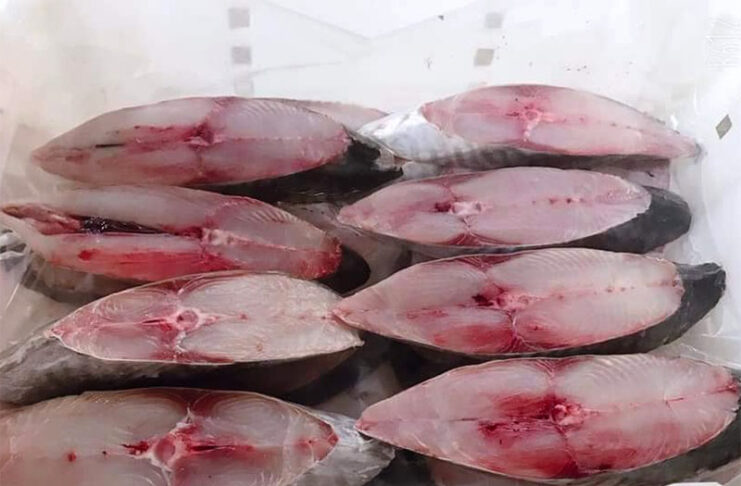 5 loại cá béo có hàm lượng Omega-3 cao nhất, nên ăn thường xuyên