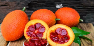 5 công dụng bất ngờ của quả gấc ít người biết đến