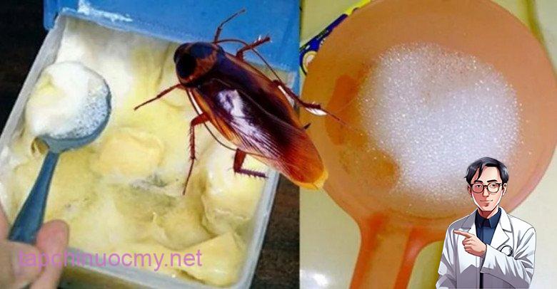 Một tuần sau khi áp dụng cách này, gián, kiḗn và muỗi khȏng còn xuất hiện trong nhà tȏi nữa - 3