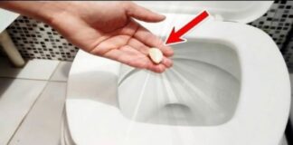 Lấy 1 tép tỏi thả vào bồn cầu: Tưởng nghịch dại hóa ra công dụng tuyệt vời ai cũng muốn học theo
