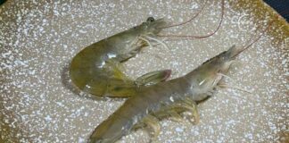 Ra chợ nên chọn “tôm thẳng” hay “tôm cong”? Sự khác biệt là rất lớn nhưng ít người biết…..