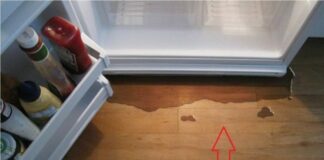 Tủ lạnh bị chảy nước: Đừng vội gọi thợ làm ngay cách này giúp tủ hoạt động tốt, chẳng tốn tiền oan