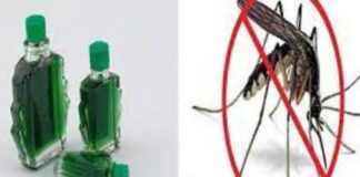 Trước khi đi ngủ đặt bát nước này trong phòng, muỗi không dám bén mảng, cả nhà yên tâm ngủ ngon