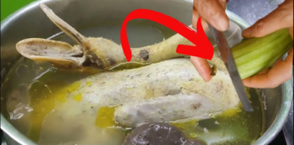 Cắt nhỏ loại quả này rồi thả vào nồi luộc vịt: Thịt đậm vị, hết sạch mùi hôi