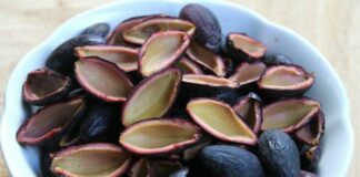 Loại quả ‘đắt hơn thịt’, ‘bùi hơn lạc’ bán đầy chợ Việt vừa chống K lại hạ đường huyết hiệu quả