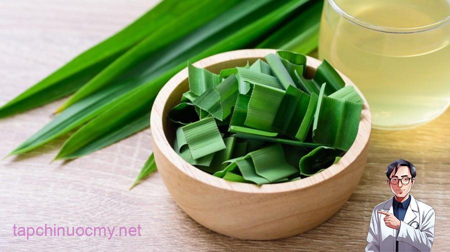 Lá dứa tươi thường thơm ngon và có hương vị đậm đà hơn, nhưng không phải lúc nào cũng dễ dàng tìm thấy trong thành phố và thời gian bảo quản cũng hạn chế