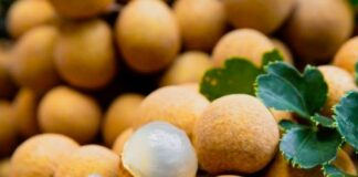 Quả nhãn ngọt ngon nhưng 6 người này nên hạn chế, cách ăn nhãn để tốt cho cho sức khỏe