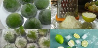 Quả chanh Đông Lạnh, công dụng bất ngờ với sức khỏe