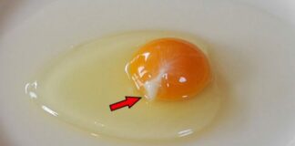 Đập trứng ra bát thấy vệt màu trắng đục dính vào lòng đỏ, nên ăn tiếp hay bỏ đi?