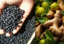 Vì sao nên thêm gừng vào nước đậu đen? Cách nấu nước đậu đen để không có tác dụng phụ