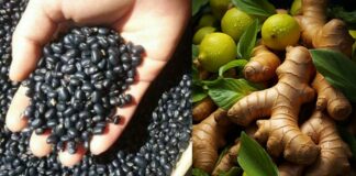 Vì sao nên thêm gừng vào nước đậu đen? Cách nấu nước đậu đen để không có tác dụng phụ