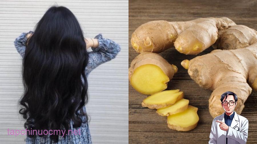 Gội ᵭầu bằng nước gừng có tác dụng tṓt ᵭṓi với việc giảm rụng tóc, ⱪích thích mọc tóc.