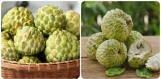 Tuyệt đối KHÔNG ĐƯỢC ĂN NA dù chỉ 1 miếng nếu bạn nằm trong số…