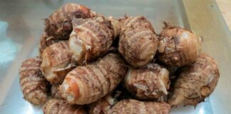 Cả đời sống khỏe chẳng tốn tiền thuốc không lo ung thư nhờ món ăn rẻ tiền được ví như nhân sâm này