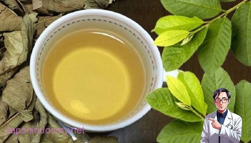 Người đang dùng thuốc điều trị tiểu đường không nên uống nước lá ổi