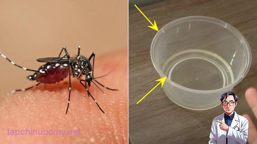 Pha bát nước từ đường, bột giặt và cồn để diệt muỗi