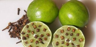 Lấy thứ này cắm vào quả chanh rồi để góc nhà, muỗi một đi không trở lại