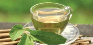 Uống nước lá ổi cực hại với 6 nhóm người này