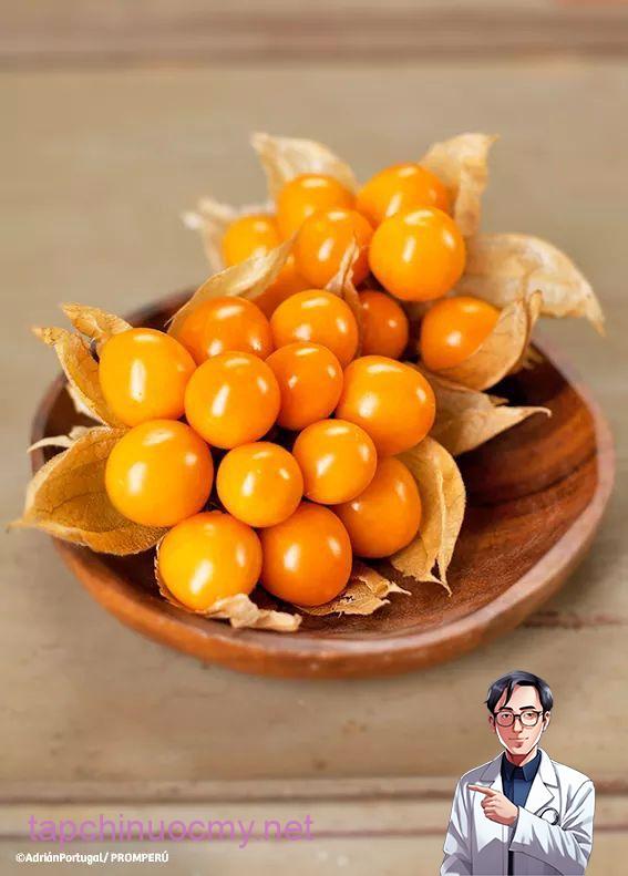 Quả tầm bóp có giá tiền triệu