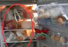 Sự thật về thông tin để túi nilon trong tủ lạnh có gây ung thư, ngộ độc?