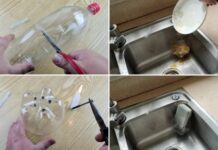 Cắt đôi chai nhựa để ở bồn rửa bát: Công dụng tuyệt vời, nhiều người sẽ tiếc vì không biết sớm