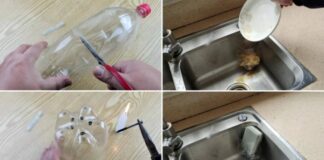 Cắt đôi chai nhựa để ở bồn rửa bát: Công dụng tuyệt vời, nhiều người sẽ tiếc vì không biết sớm