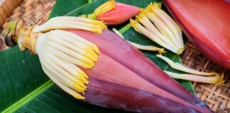 Hoa chuối và những công dụng ít ai biết