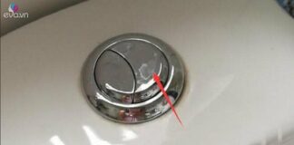 Hóa ra tôi đã nhấn nút bồn cầu sai cách, làm lãng phí rất nhiều nước mà không hay