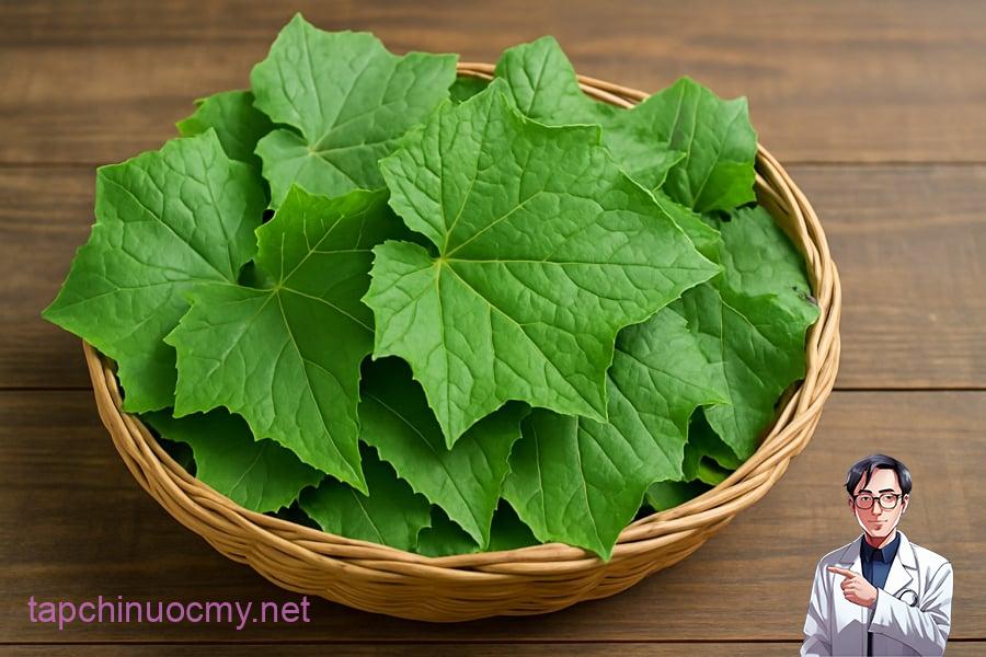 Lá mướp tươi – “báu vật” tự nhiên thường bị bỏ quên trong gian bḗp Việt.