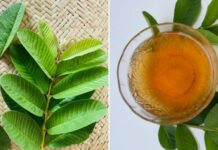 Những lợi ích tuyệt vời của nước lá ổi mà ít người biết