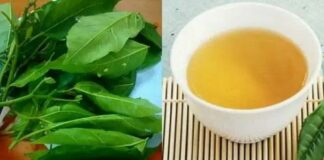 Nếu biết ai bị tiểu đường, hãy chỉ cho cách uống nước lá sung: Họ sẽ biết ơn bạn đến suốt đời