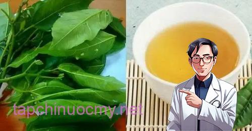 Nếu biết ai bị tiểu đường, hãy chỉ cho cách uống nước lá sung: Họ sẽ biết ơn bạn đến suốt đời