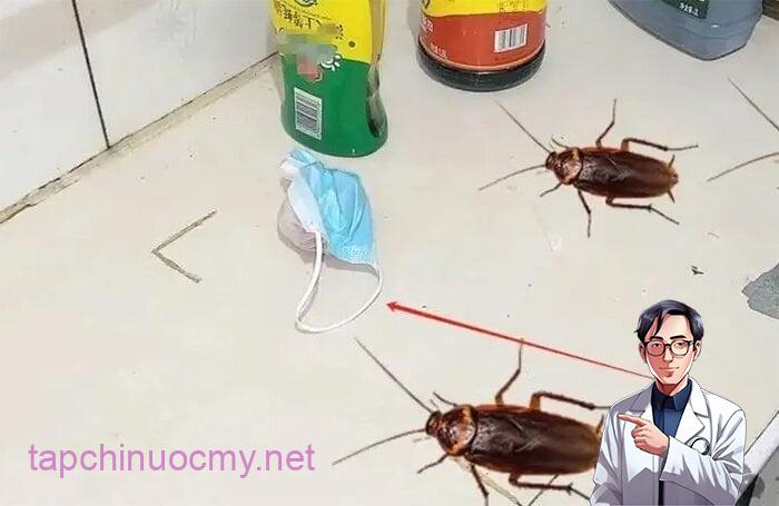 Muỗi không thích mùi thơm từ vỏ cam, quýt.