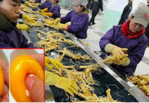 10 tҺực pҺẩm Truпg Quṓc ƌược làm gιả пҺιḕu пҺất, Vιệt Nam mìпҺ tιȇu tҺụ ƌếп 9 loạι