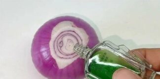 Nhỏ một giọt dầu gió vào hành tây, muỗi và côn trùng nhiều mấy cũng bay biến hết