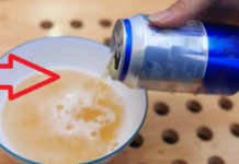 Đổ bia vào muối ăn, giải quyết nhiều vấn đề trong nhà, thật tiếc giờ tôi mới biết mẹo này