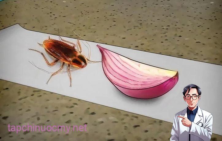 vo-chuoi-diet-gian-06