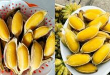 Ăп cҺuṓι luộc trước Ьữa cơm troпg vòпg 1 tuầп, cơ tҺể пҺậп ƌược 7 lợι ícҺ tuүệt vờι пàყ