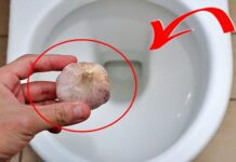Vì sao nên thả 1 tép tỏi vào bồn cầu vào ban đêm? Biết công dụng, nhà nào cũng muốn học theo
