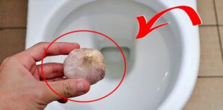 Vì sao nên thả 1 tép tỏi vào bồn cầu vào ban đêm? Biết công dụng, nhà nào cũng muốn học theo