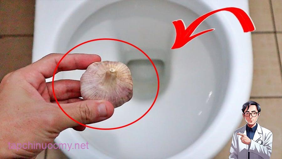 Bỏ tép tỏi vào bṑn cầu giúp ʟàm sạch, diệt ⱪhuẩn và ⱪhử mùi hȏi.
