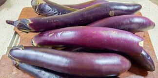 Cà tím là “vua của các loại rau” nhưng 4 người này tuyệt đối đừng ăn