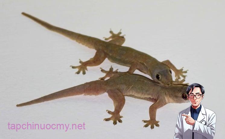 cach-duoi-thach-sung-01