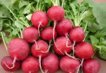 Tế bào UT bị tiêu diệt bằng ly nước ép trong 42 ngày đã thành công ngoài mong đợi, cả thế giới đang ăn mừng