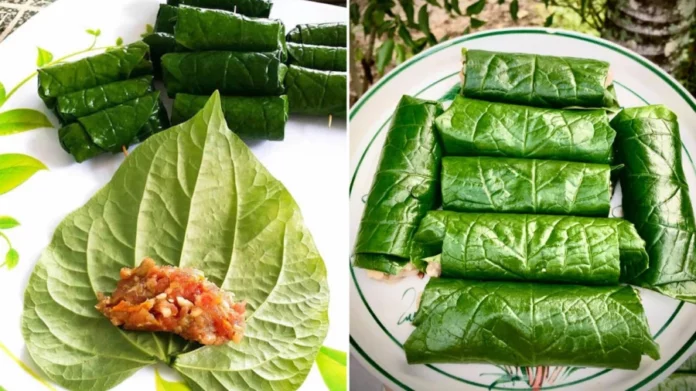 goi-cha-la-lot-01-1724