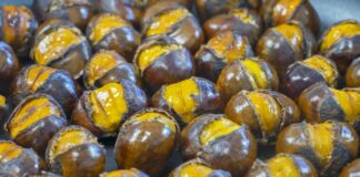 Loại hạt là nhân sâm của mùa đông, ngon – bổ – rẻ mà nhiều người không biết