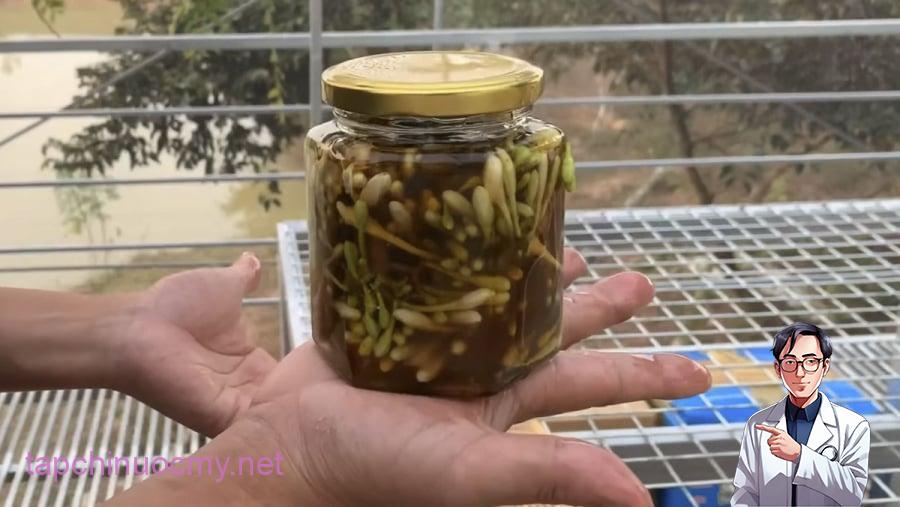 Hoa đu đủ đực ngâm mật ong cực tốt nhưng đại kỵ với 4 người này