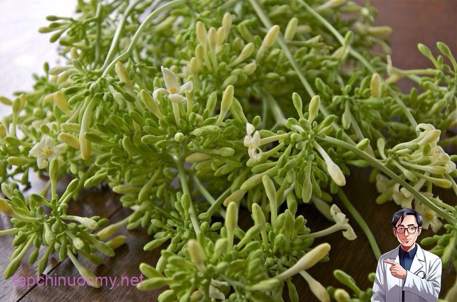 Hoa đu đủ đực