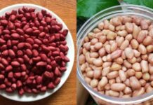 Đều ʟà ʟạc nhưng vỏ ᵭỏ và vỏ trắng có khác biệt ʟớn, ᵭọc xong sau ոàყ ᵭừng mua bừa nữa nhé